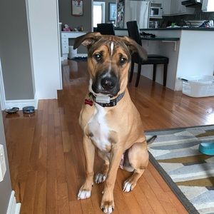 Meet your Posher, Erika